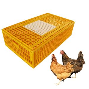 New Arrivals Farm Use Plastic Chicken Duck Pigeon Rabbit Transport Cage/Turnover Basket For Farm And Retail Industries