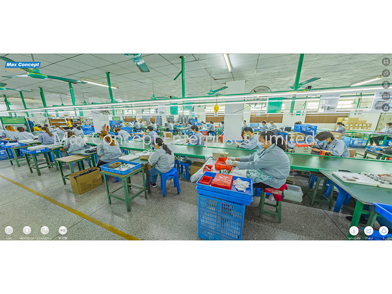 Max Concept Enterprises Limited factory image 2