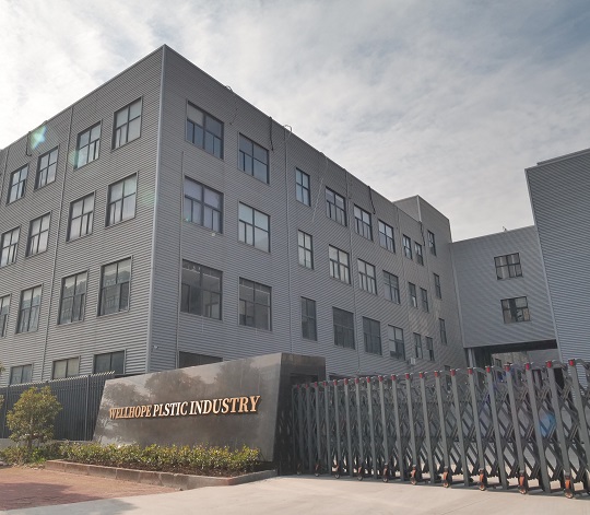 Shanghai Wellhope Trading Co., Ltd. Shoe Box