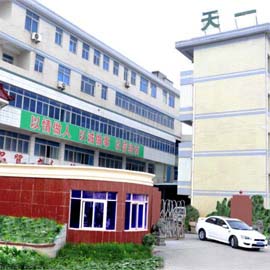 Fujian Quanzhou Tianyi Bags Co., Ltd. Backpack