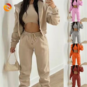 OEM Custom Fall Women's Clothing Thick 2 Piece Set Tracksuit Sweat Suits Jogger Set 3 Pieces Outfits Sweat pant and Hoodie