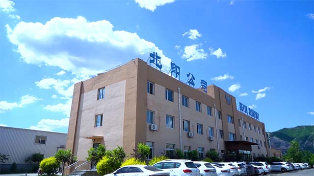 Kazuo Beiyin Paper and Plastic Packing Co., Ltd. Stand up pouches