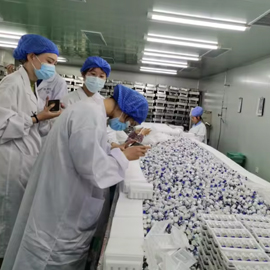 Zhengzhou Beslet Biotechnology Co., Ltd. tanning nasal spray