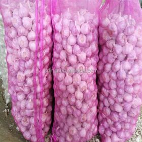 China white garlic seeds red price for sale market price