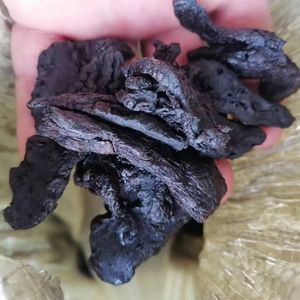 Shu di huang Natural whole steamed Rehmannia glutinosa roots Prepared Rehmannia glutinosa rhizome for tea