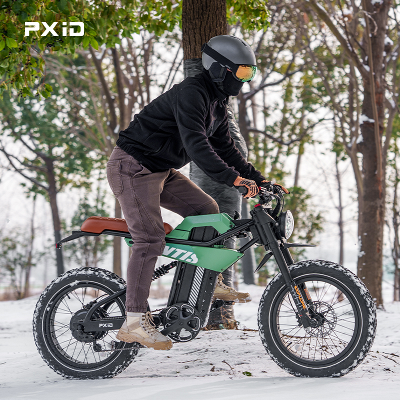 Wholesale PXID MANTIS ebike 20 inch electric bike fatbike 750w 1200w two suspension offroad e bike