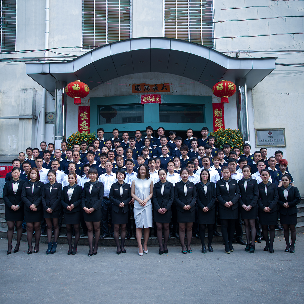 Dongguan Xin Hua Artware & Lighting Co., Ltd. Chandelier