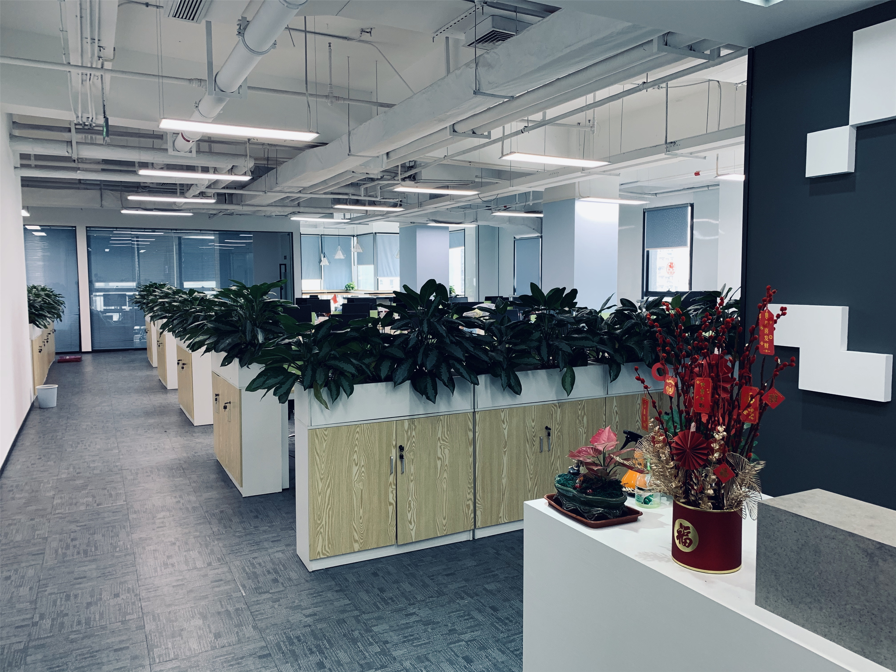Shenzhen Qinshi International E-Commerce Co., Limited factory image 1