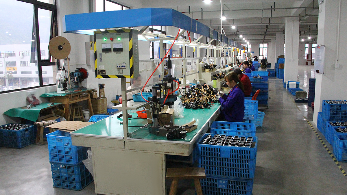 Zhejiang Maiersi Auto Parts Co., Ltd. electric side step motor