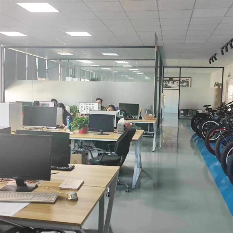Shenzhen Yiruike Electronics Co., Ltd. Electric bike accessories