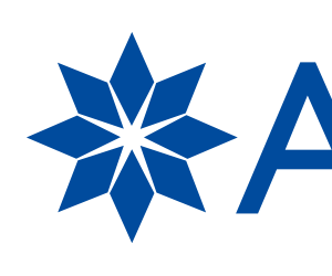 Company icon