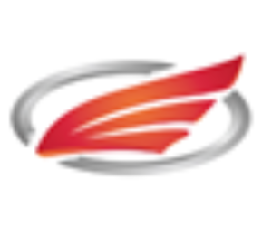 Company icon