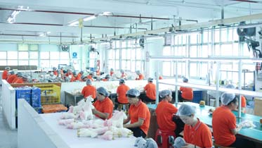 Shenzhen Yucai Toys Industries Co., Ltd. stuffed animals