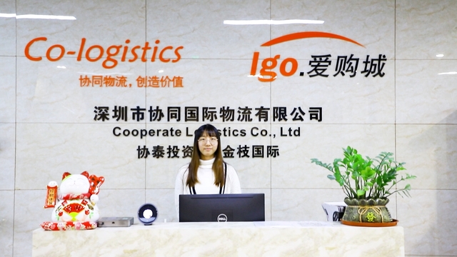 Shenzhen Aigocity Supply Chain Co., Ltd. Solar Panel Tester
