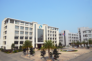Guangzhou Superocean Import & Export Co., Ltd. Orthopedic Shoes