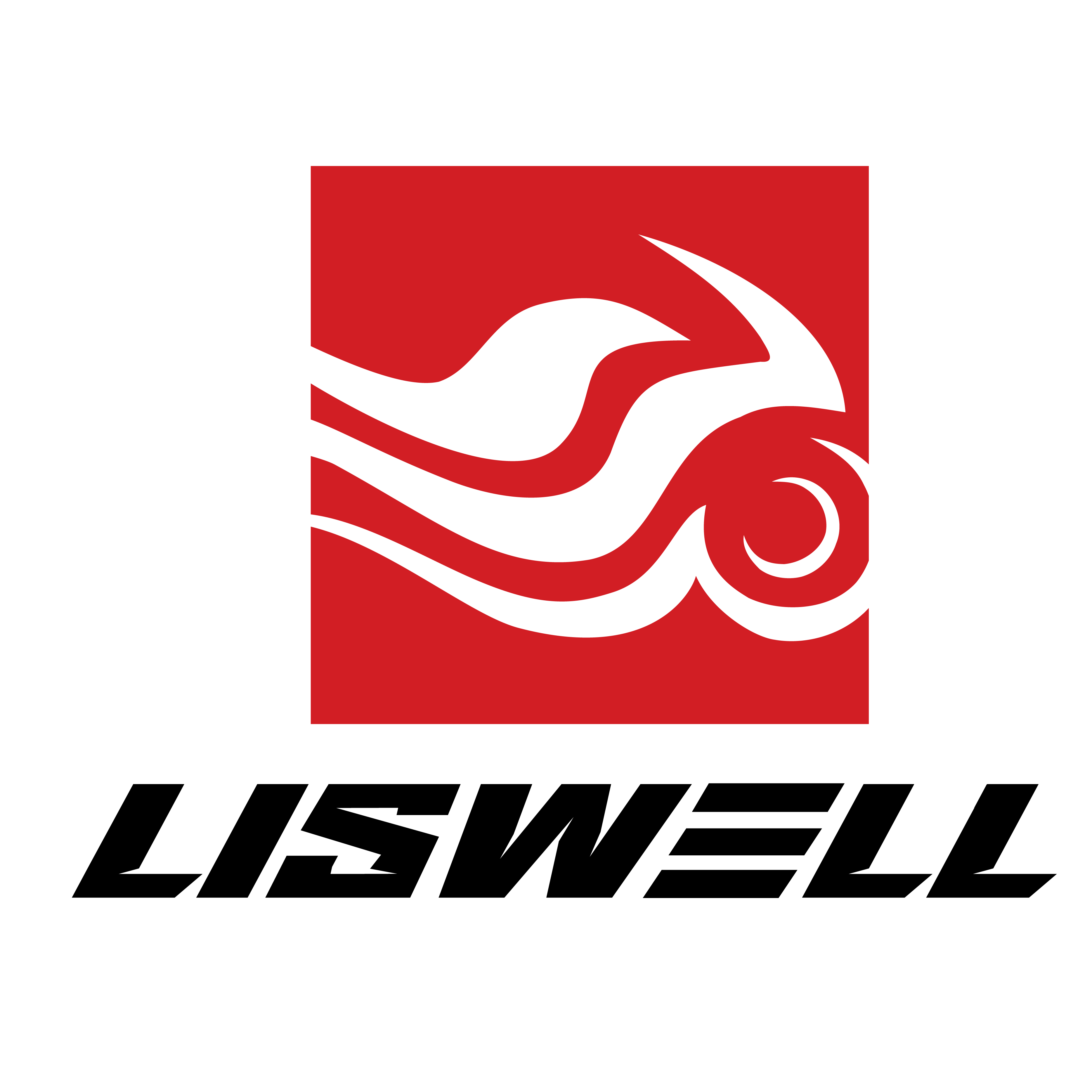 Hangzhou Lisiwei Technology Co., Ltd. logo