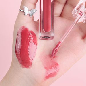 Custom logo cruelty free en gros glossy long lasting make up lipgloss hydrating high pigment plump lip gloss