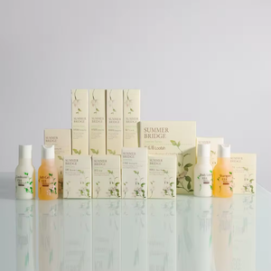 Hotel Vanity Kit Individually Wrapped Hotel Amenities Disposable Travel Hotel Hospitality Supplies For Motels Makeup Toiletries