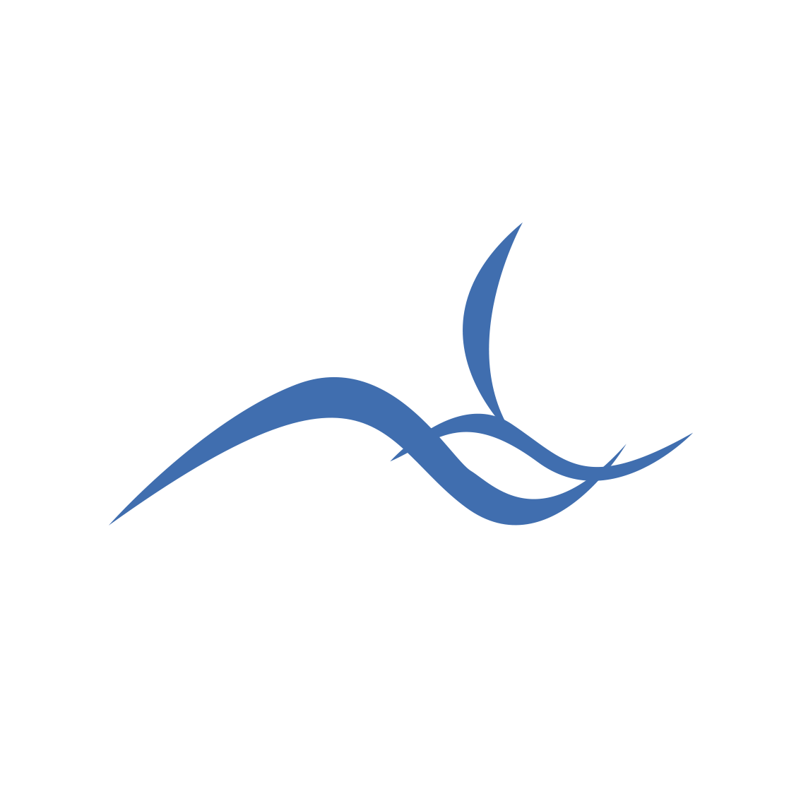 Baoding View Rising Trade Co., Ltd. logo