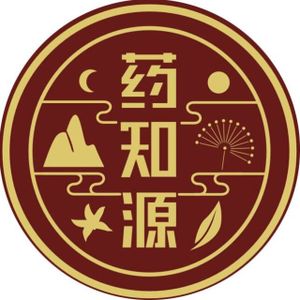 Company icon