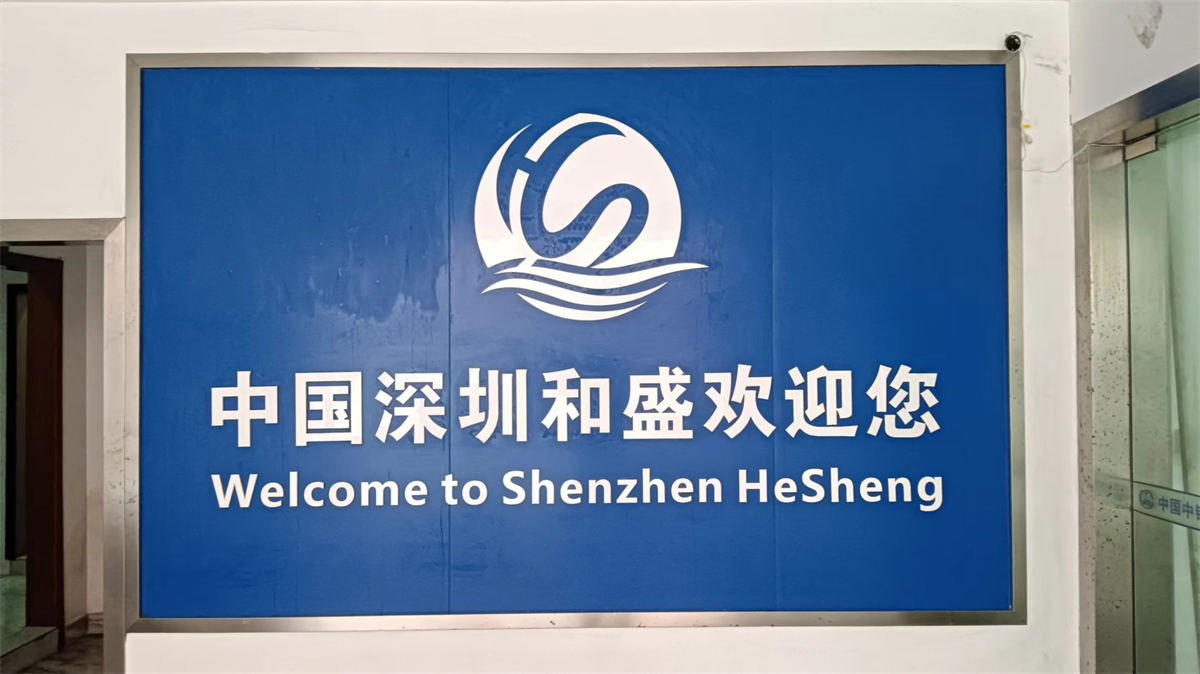 Shenzhen Hesheng Silicone Rubber Technology Co., Ltd. Silicone Teether
