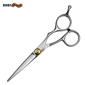 Professional Hairdresser Scissors