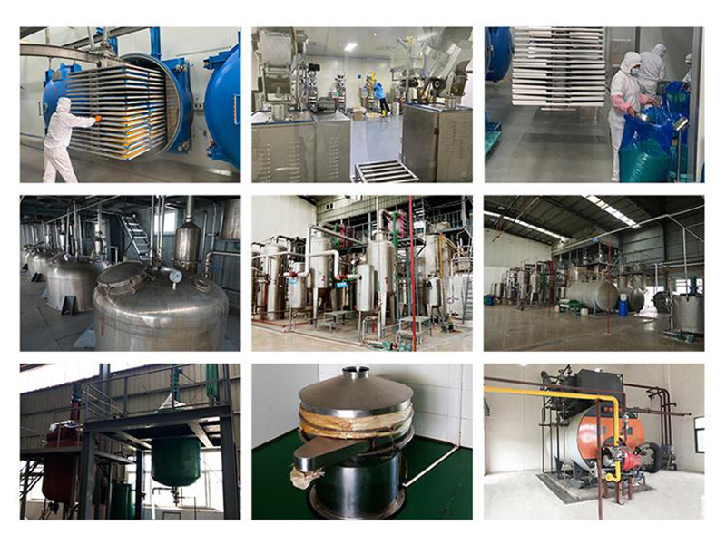 Shijiazhuang Mates Technology Co., Ltd. Iron Oxide