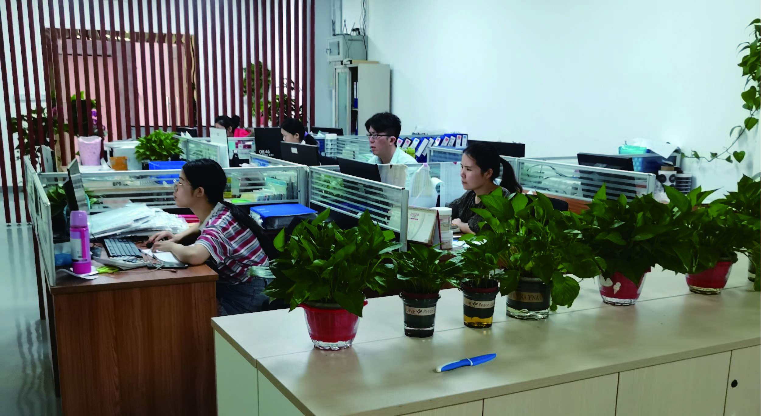 Dongguan Changan Zhiye Printing Factory Custom Stickers