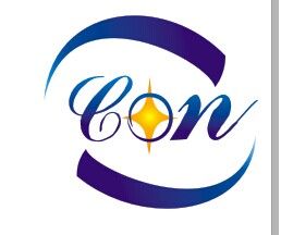 Company icon