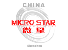 Company icon