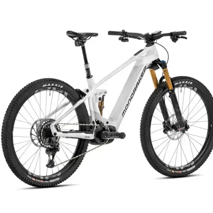 Lewis Supplies LLC Crafty Carbon RR SL Bike - Silver/white E-MTB Enduro/AM