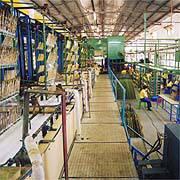Ying-Hao Metal Industrial Co Ltd Telescopic Antennas