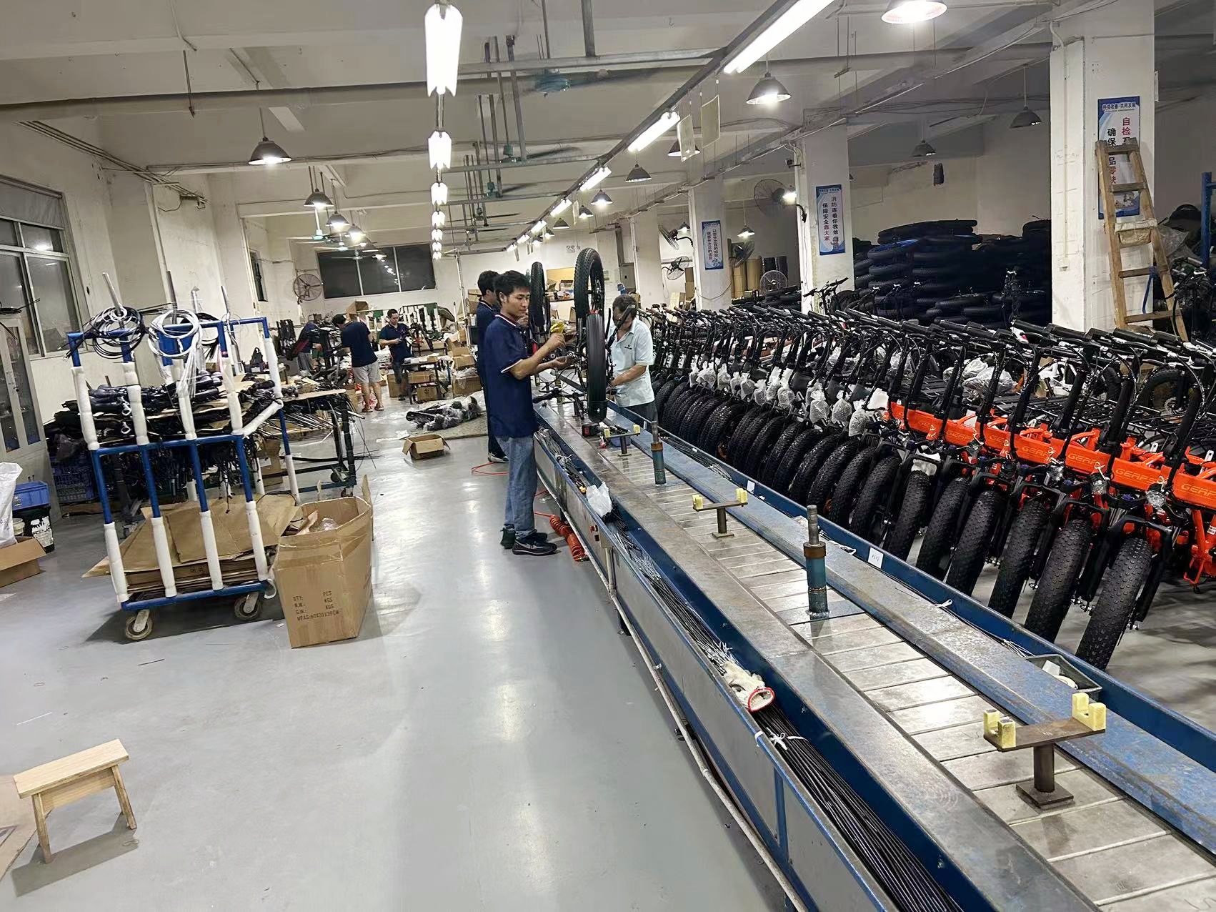 Sichuan Whale Feather International Trade Co., Ltd. electric bike