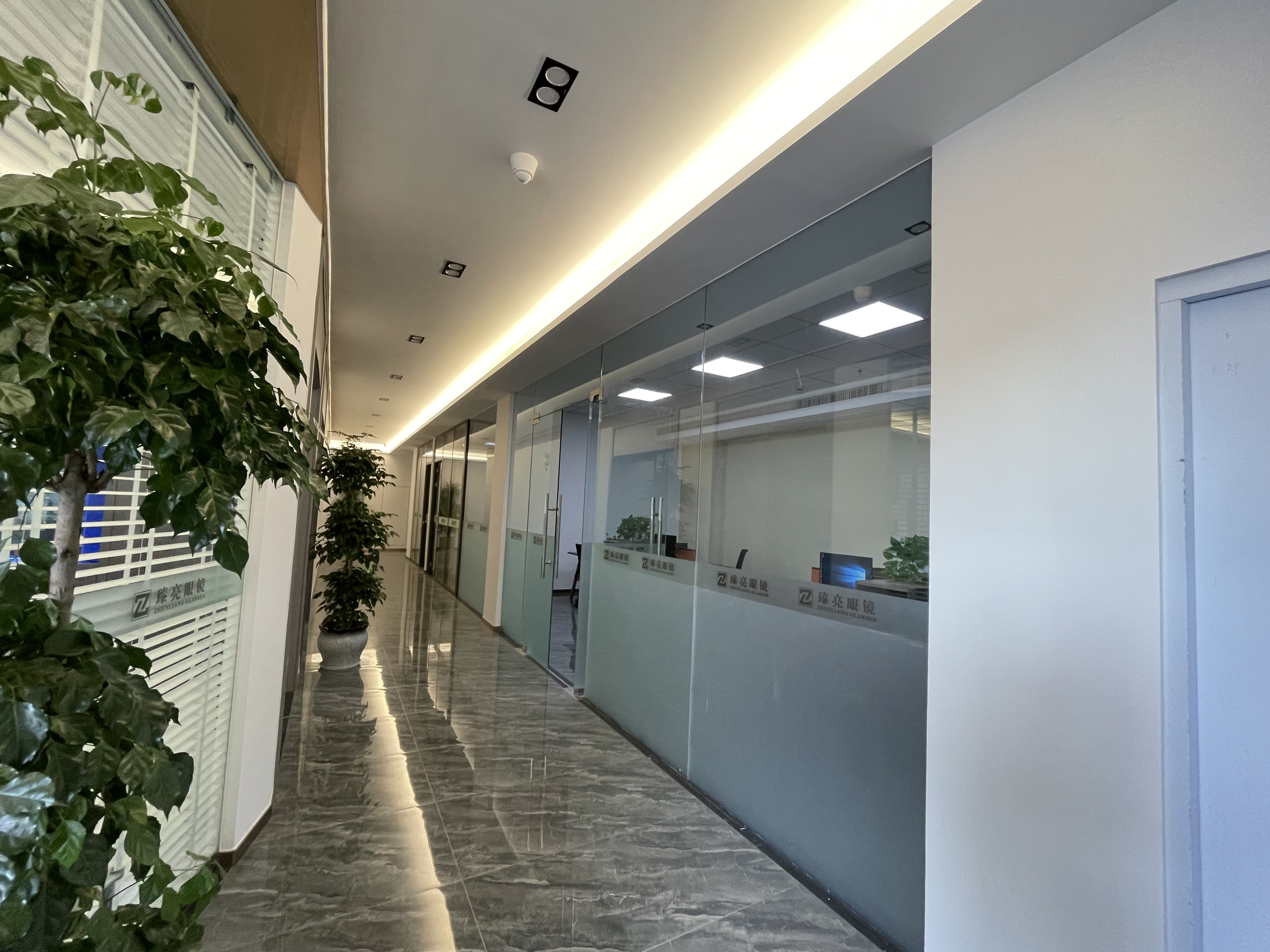 Taizhou Zhenliang Glasses Co., Ltd. factory image 1