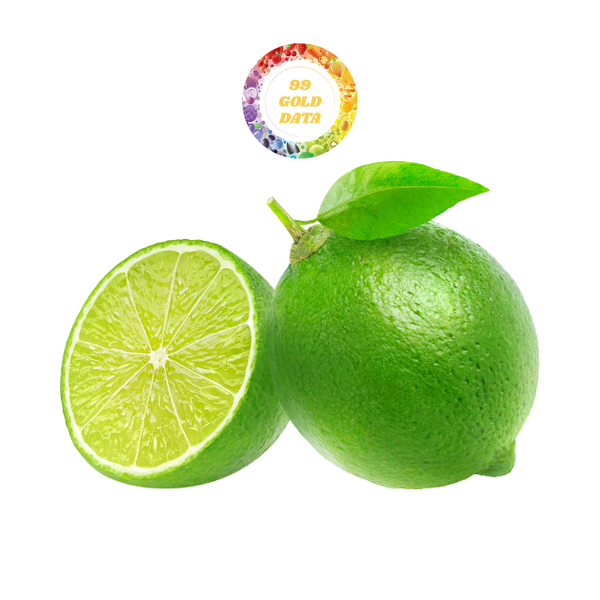 Vietnam Fresh Zesty High Quality Limes Green Seedless Lemon Organic Healthy Product