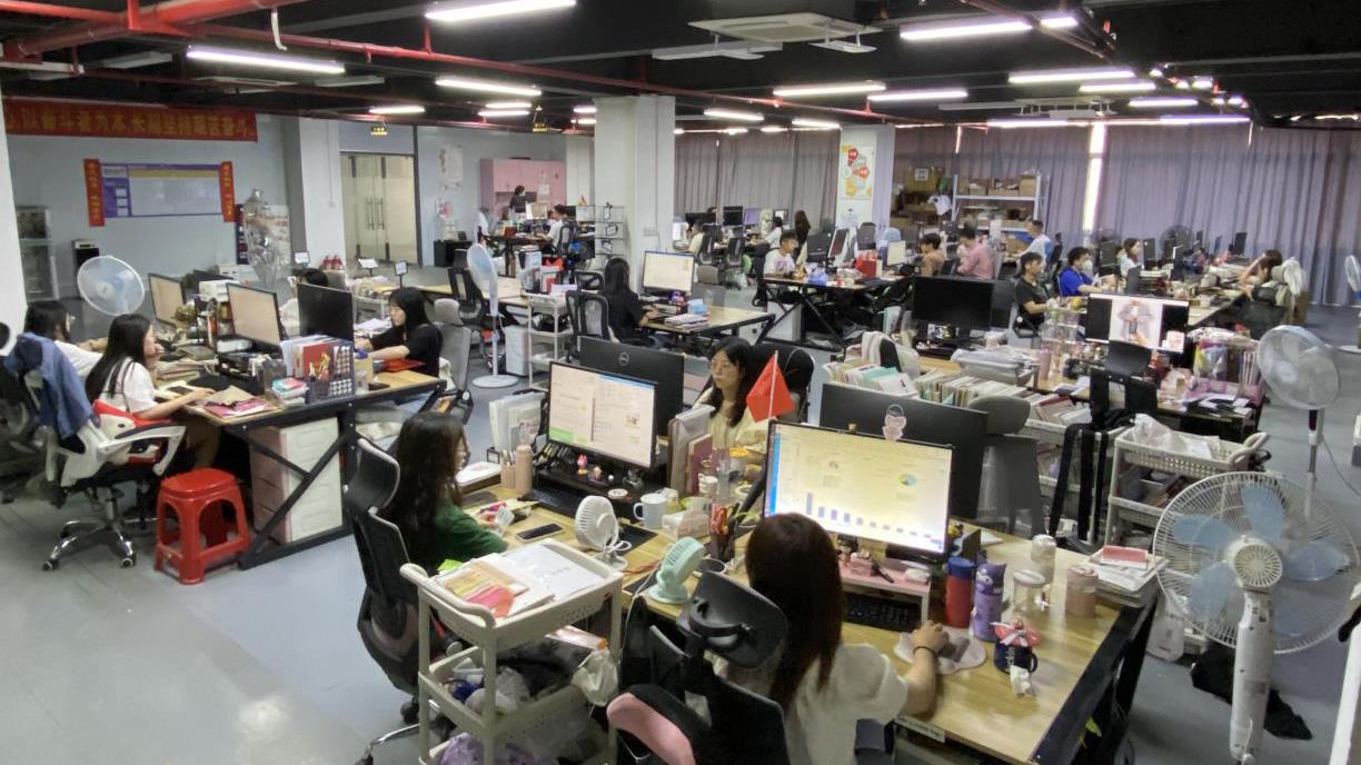 Shantou Qinsi Garment Industrial Co., Ltd. Women's Dresses