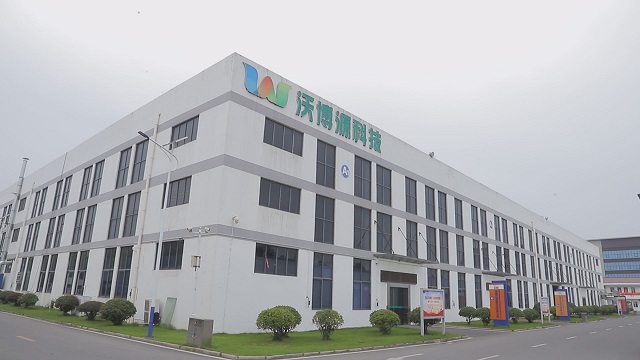 Anhui Woo-Power Technology Co., Ltd. LiFePO4 Battery Pack