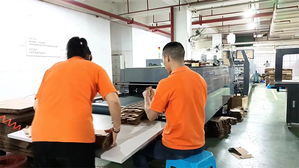 Xiamen Geliansheng Packaging Products Co., Ltd. corrugated carton boxes