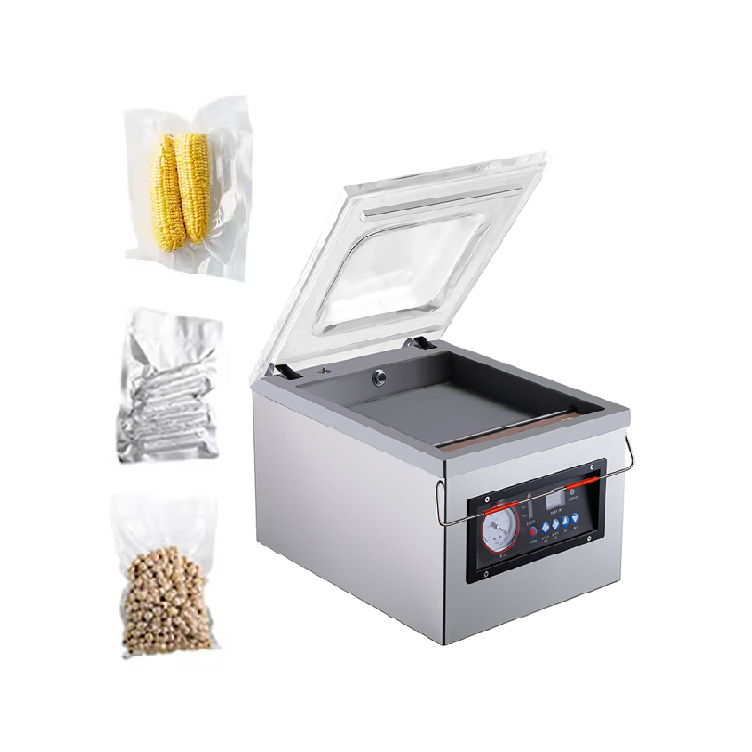 Custom Designed DZ 260 Small Continuous Chicken Fish Pizza Powder Vacuum Packing Machine