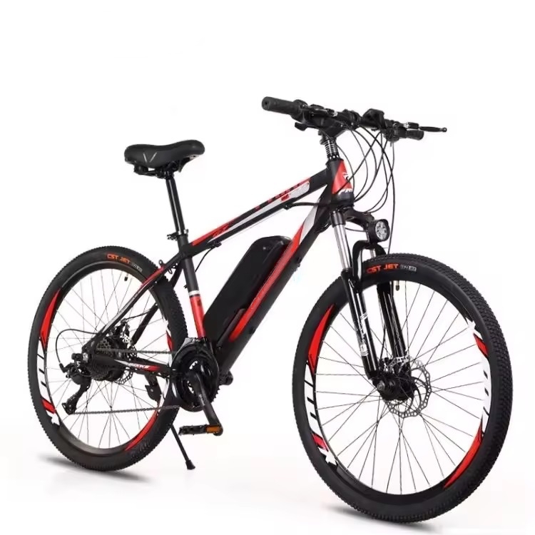 Tianjin Ruisen Import And Export Trading Co., Ltd. cheap 250W electric mountain bike 26 inch off-Road electric bicycle 21speed 36V 8Ah Lithium Battery electric bike E-MTB
