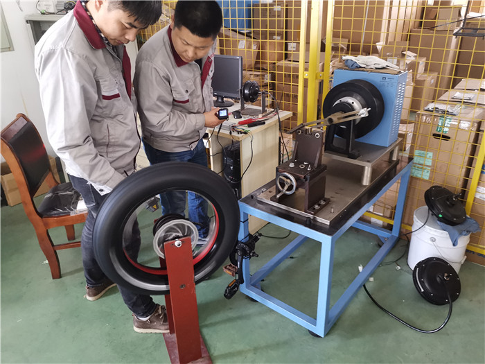 Changzhou Domain Electric Bicycle Co., Ltd. Electric bicycle