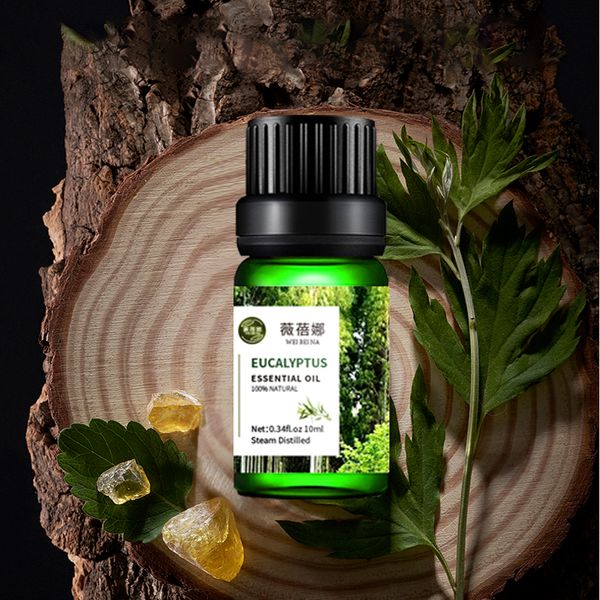 Wholesale Bulk 100% Pure Eucalyptus Essential Oil eucalyptus 10ml new essential oil Best Selling difuser essential oils