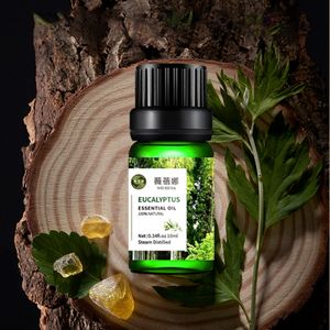 Wholesale Bulk 100% Pure Eucalyptus Essential Oil eucalyptus 10ml new essential oil Best Selling difuser essential oils
