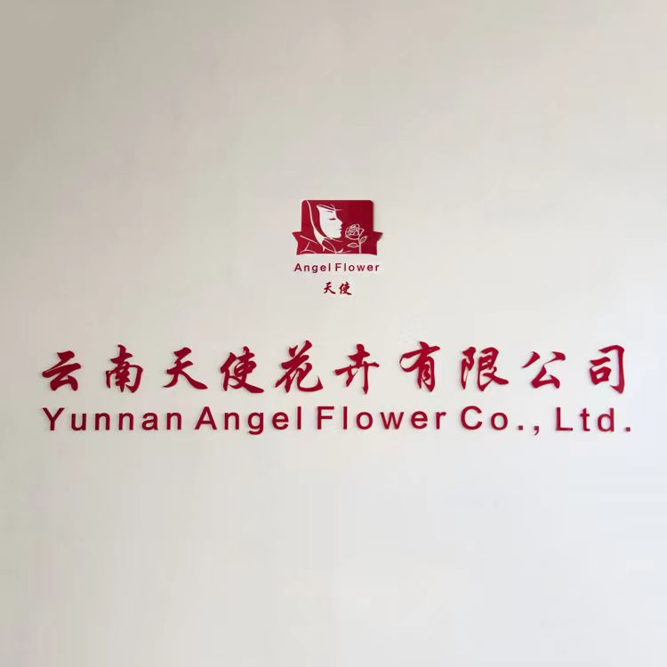 Yunnan Angel Flowers Co., Ltd. Preserved Flowers