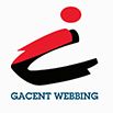 Company icon