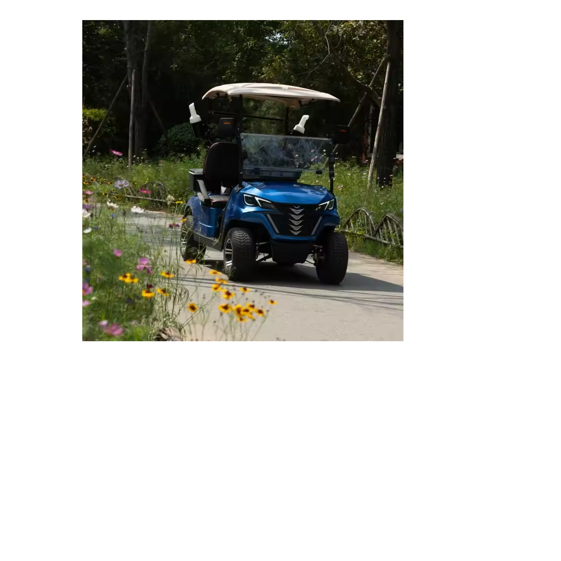 Storelli A LLC Discount sales for Quality 2 Seats Golf Carts Electric Golf Cart 2 Seat Available For Sale