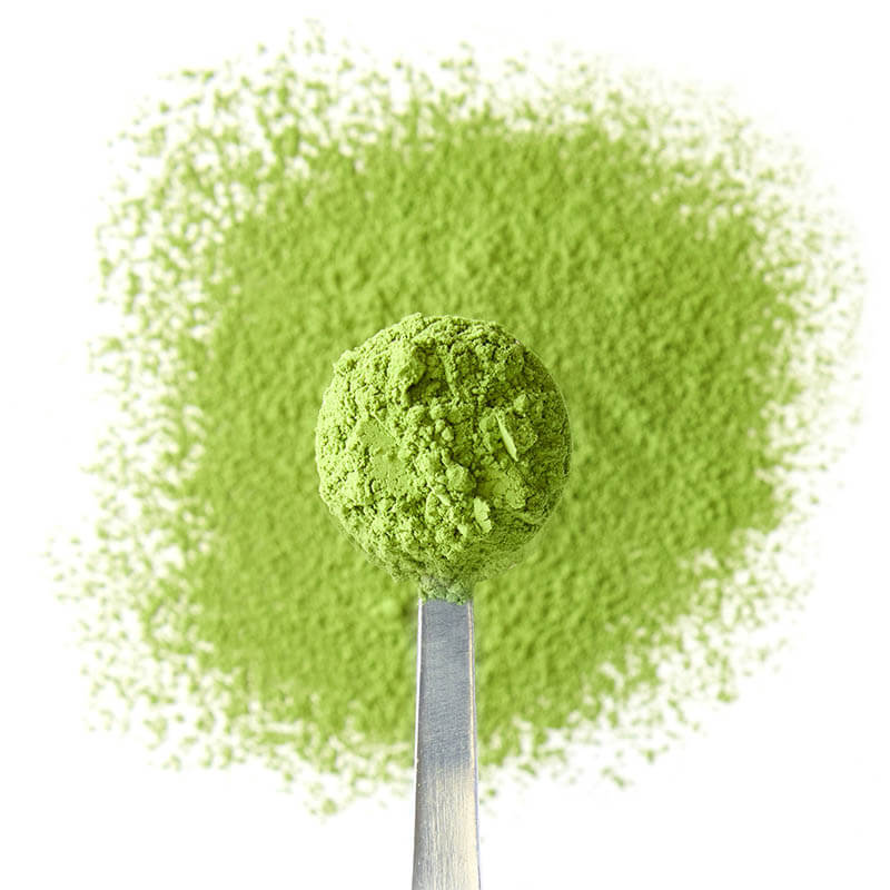 Wholesale Logo Flavors For Chinese Halal Green Tea Matcha Ice Cream Powder