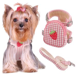 Cheap wholesale hot selling Puppies Small Medium Dog Vest Backpack Harnesses Soft Mesh Cute Dog Harness and Leash Set