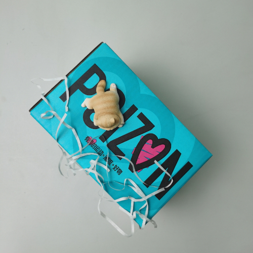 Custom Attractive Price Hot Sale Kraft Portable Biodegradable Environmental Compostable Corrugated Packaging Mailer Box