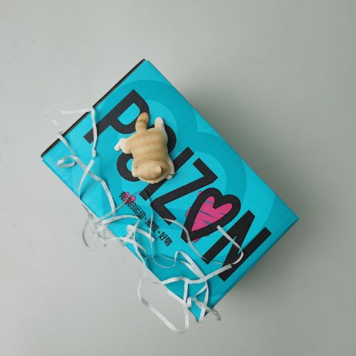 Custom Attractive Price Hot Sale Kraft Portable Biodegradable Environmental Compostable Corrugated Packaging Mailer Box